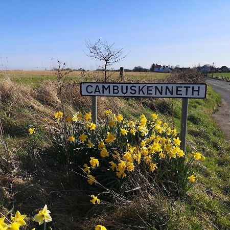 شقة The Cambus Flat Cambuskenneth ستيرلينج المظهر الخارجي الصورة