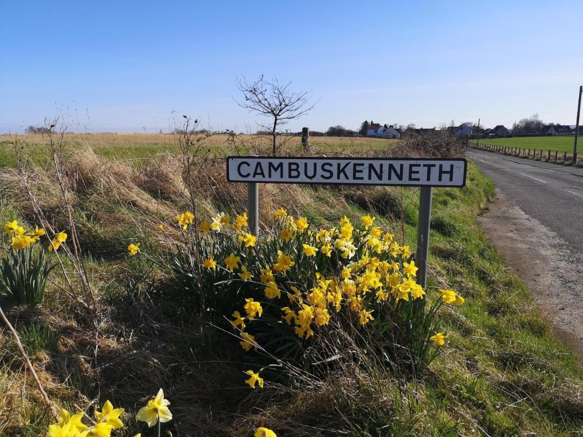 شقة The Cambus Flat Cambuskenneth ستيرلينج المظهر الخارجي الصورة